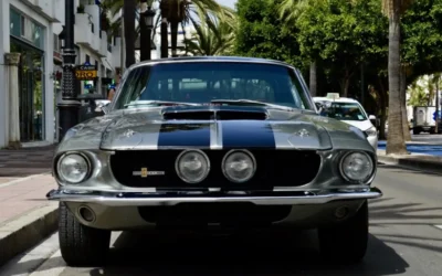 Ford Mustang Coupé Gris
